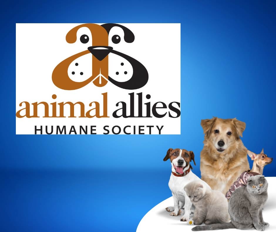 animal allies human society